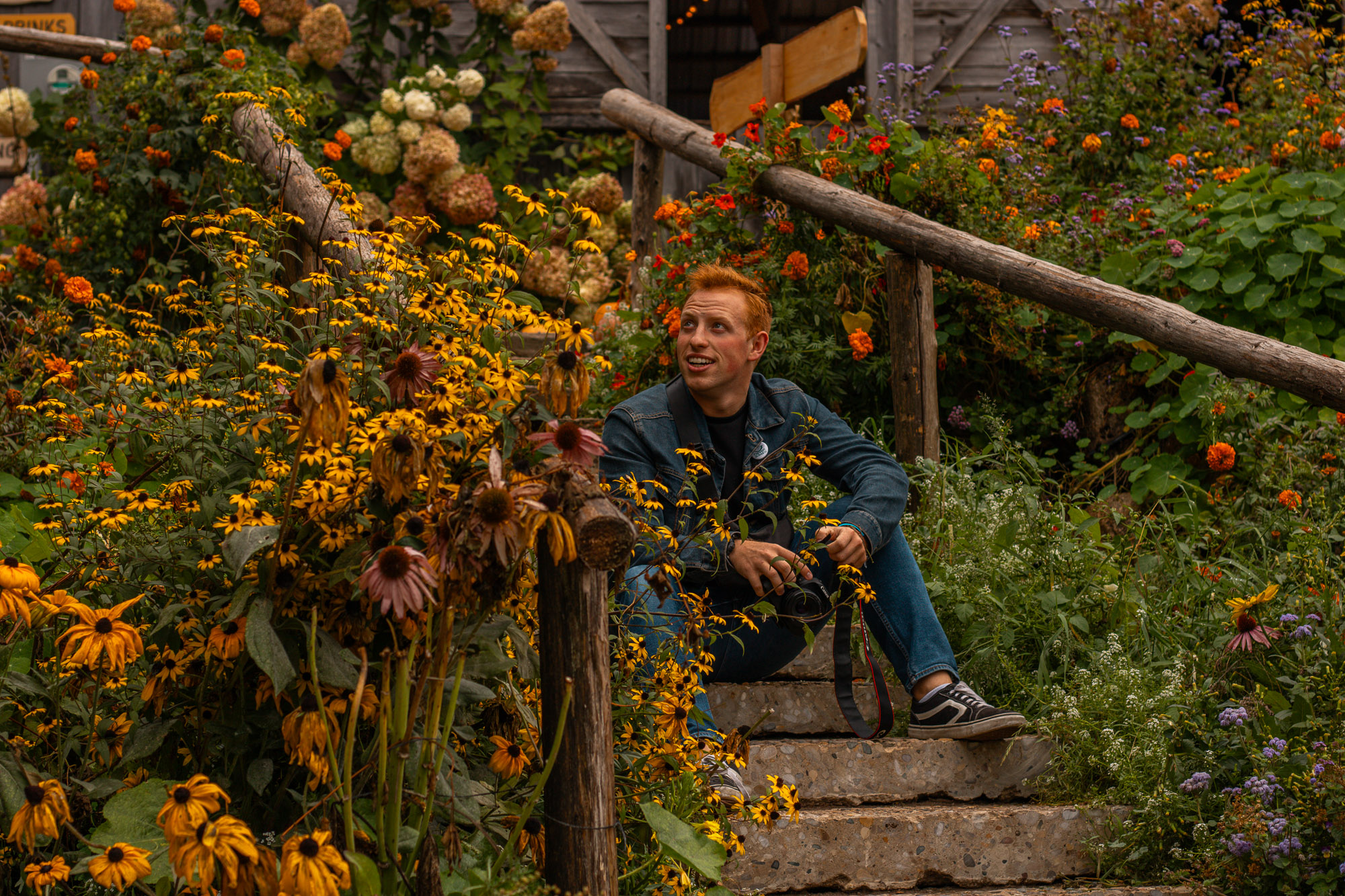 Autumn canopy in Boyne Highlands