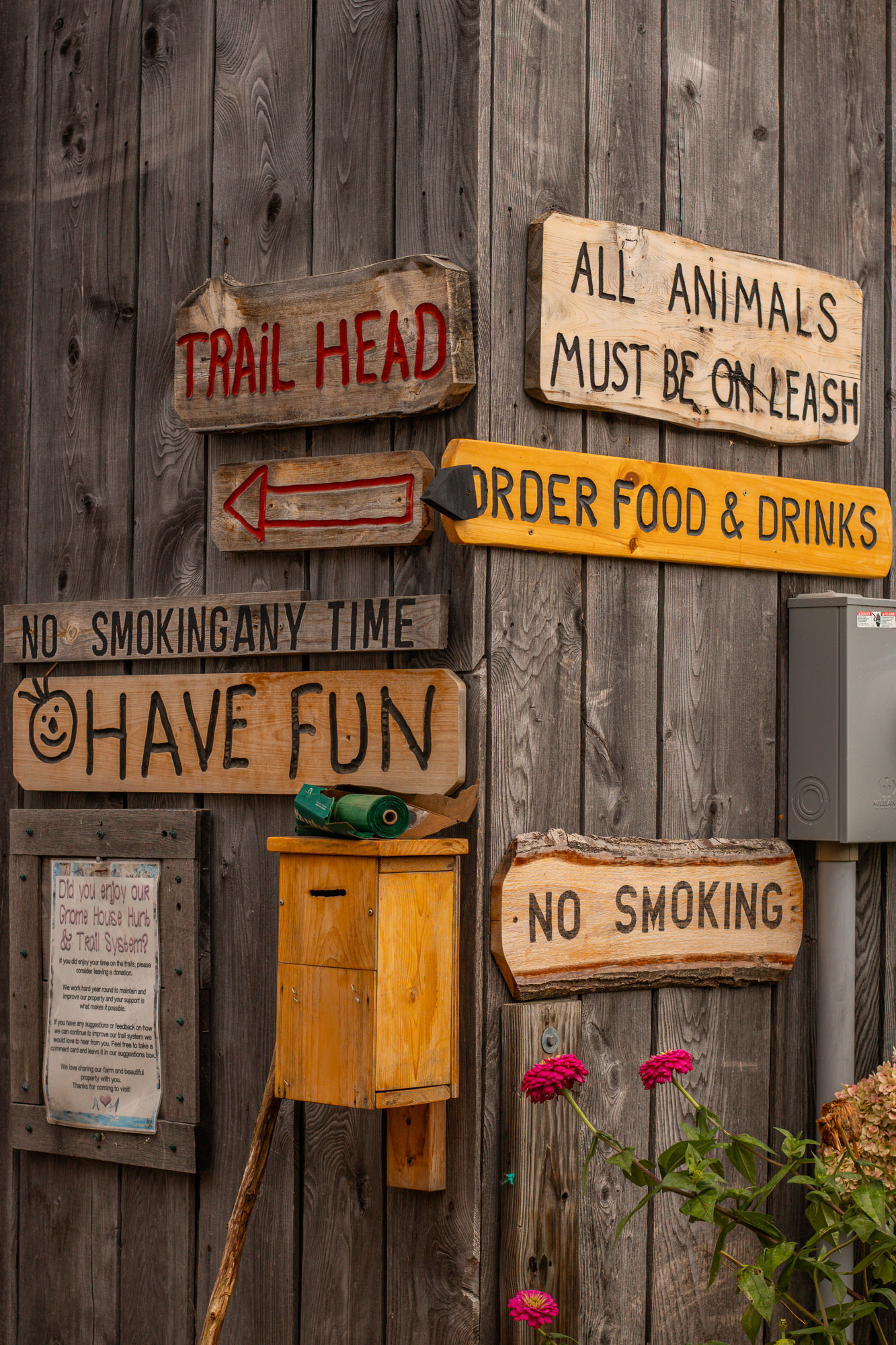 Bright foliage detail in autumn