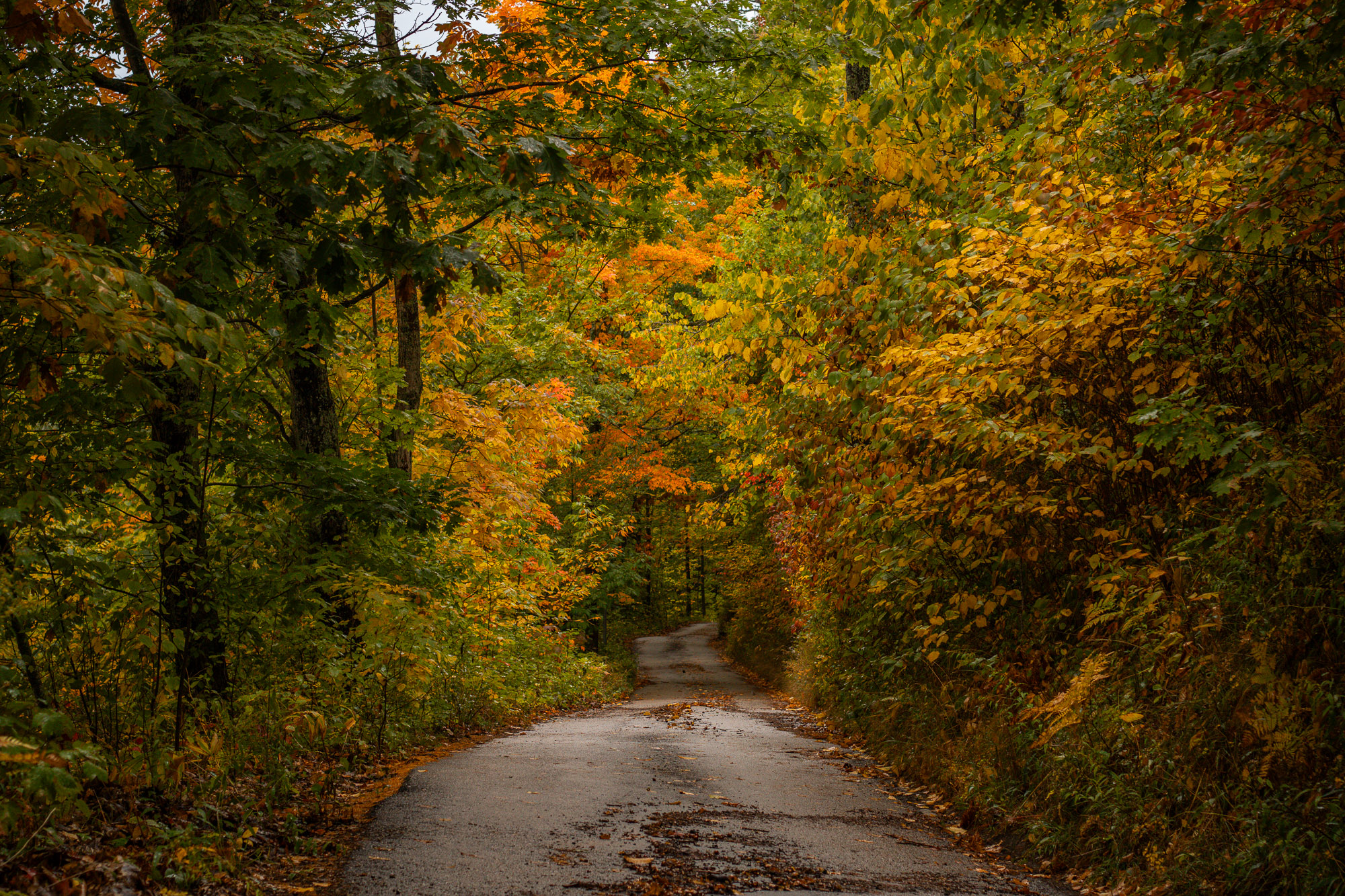 Warm autumn light over M-119