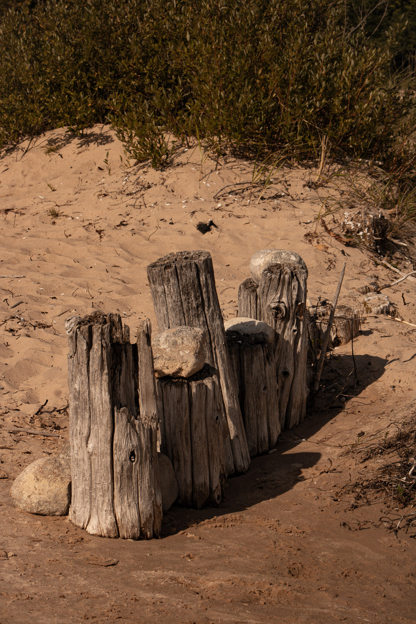 Minimal beach shoreline composition