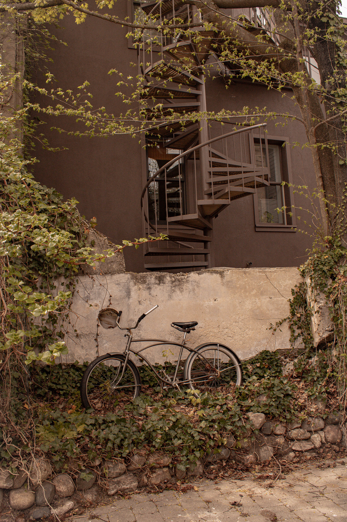 Quiet hidden shoreline in Northern Michigan