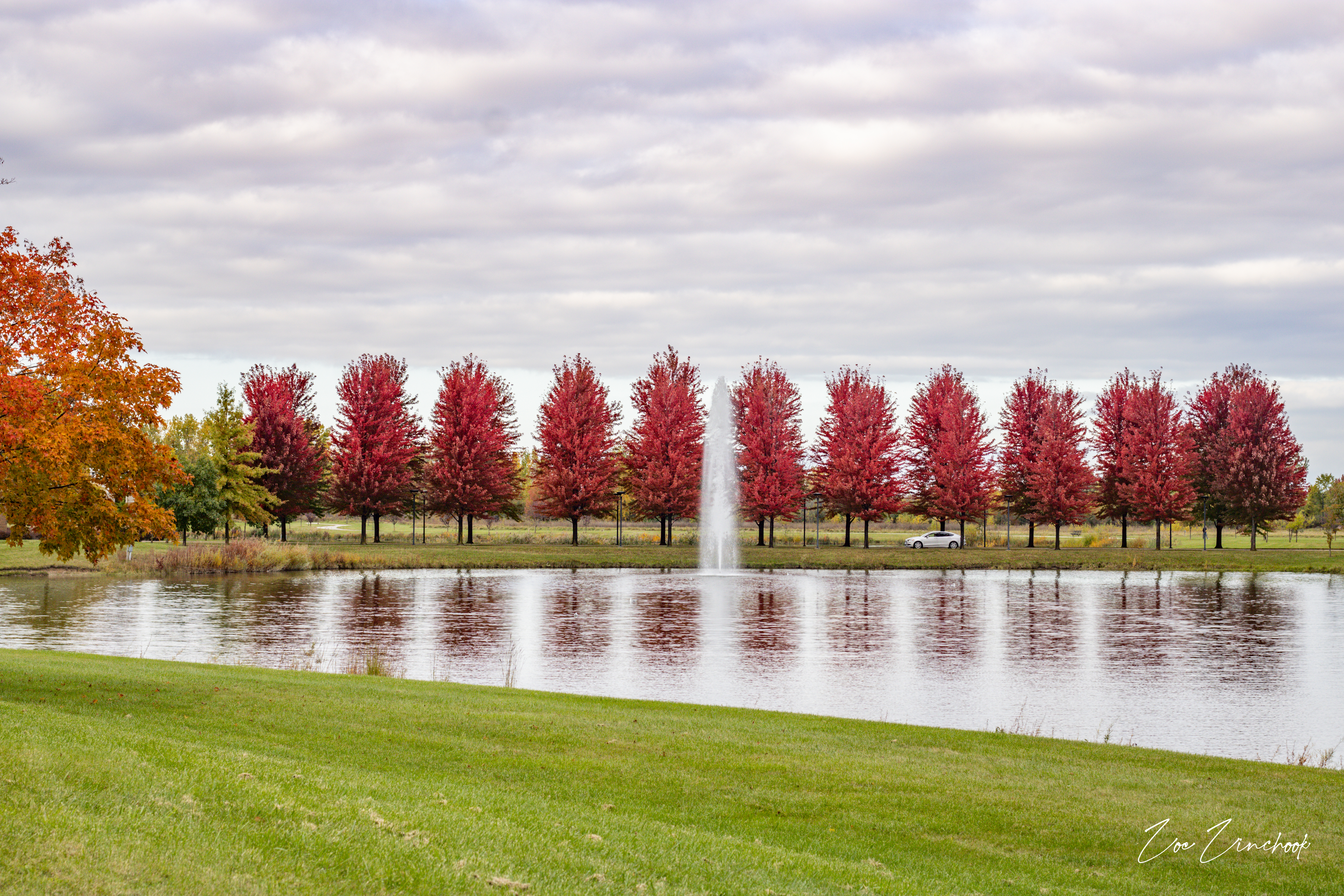 Row of autumn trees against open sky