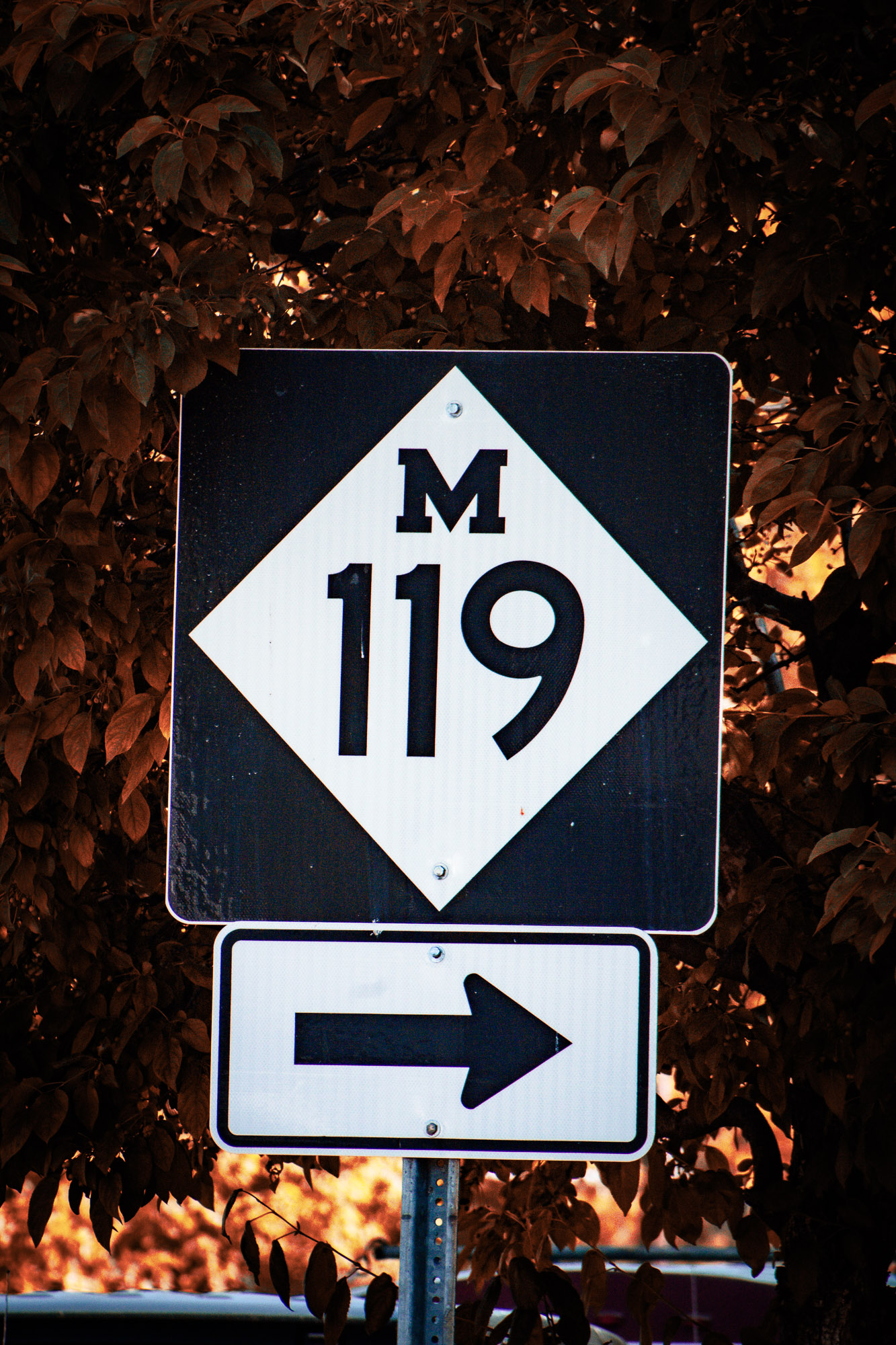 Scenic curve along M-119